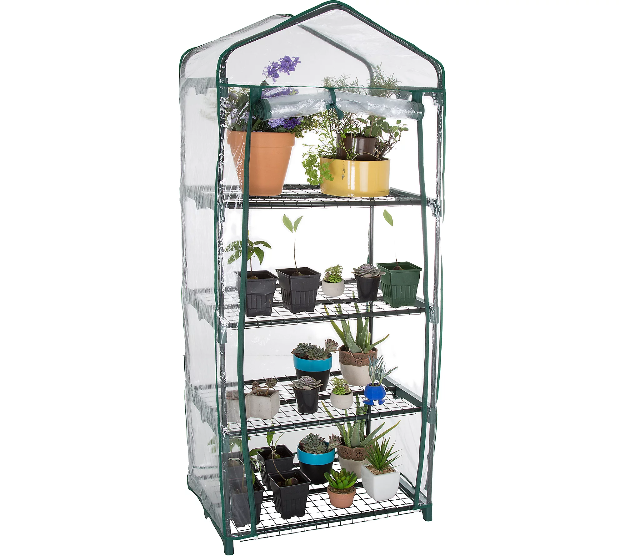 Pure Garden 4-Tier Mini Greenhouse with 4 Shelves and Cover