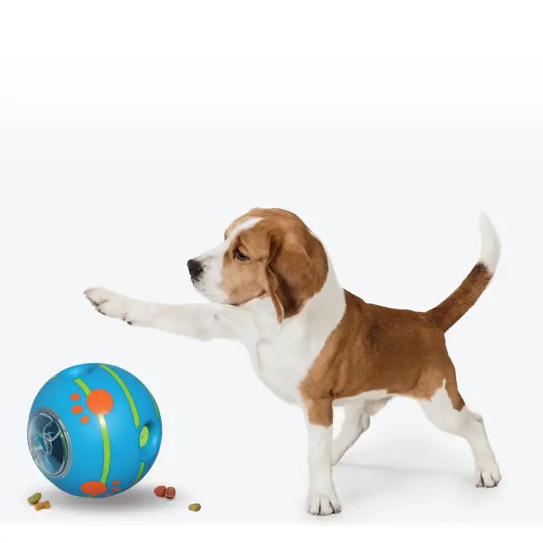 Pets Know Best Wobble Wag Giggle Treat Ball