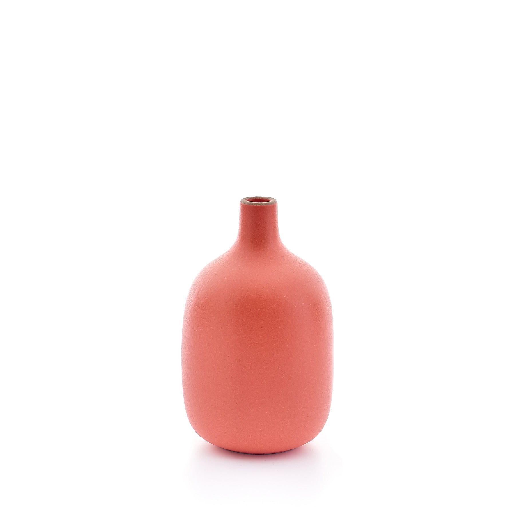 Single-Stem Vase – Simple, Elegant, and Perfect for Minimalist Floral Arrangements