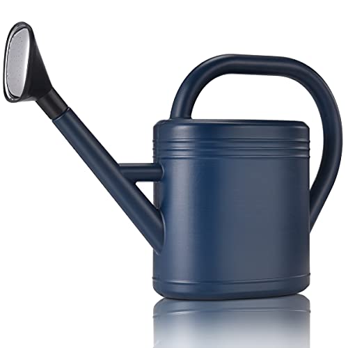 NERUB Watering Can 1 Gallon for Indoor Plants, Garden Watering Cans Outdoor Plant House Flower, Gallon Watering Can Large Long Spout with Sprinkler Head (Blue)