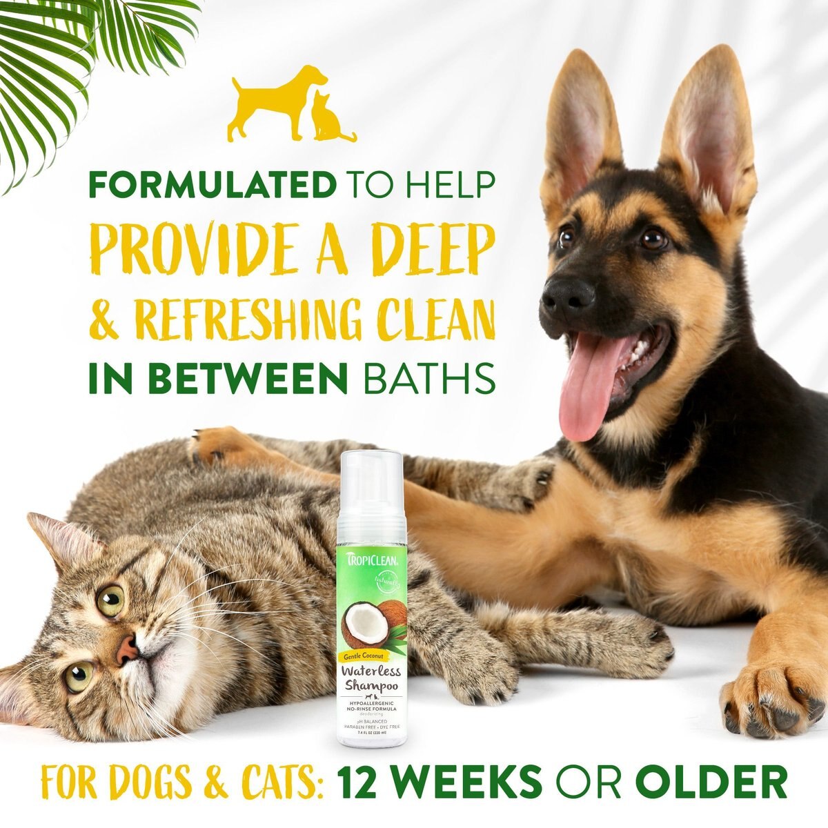 TropiClean Waterless Hypo Allergenic Dog and Cat Shampoo