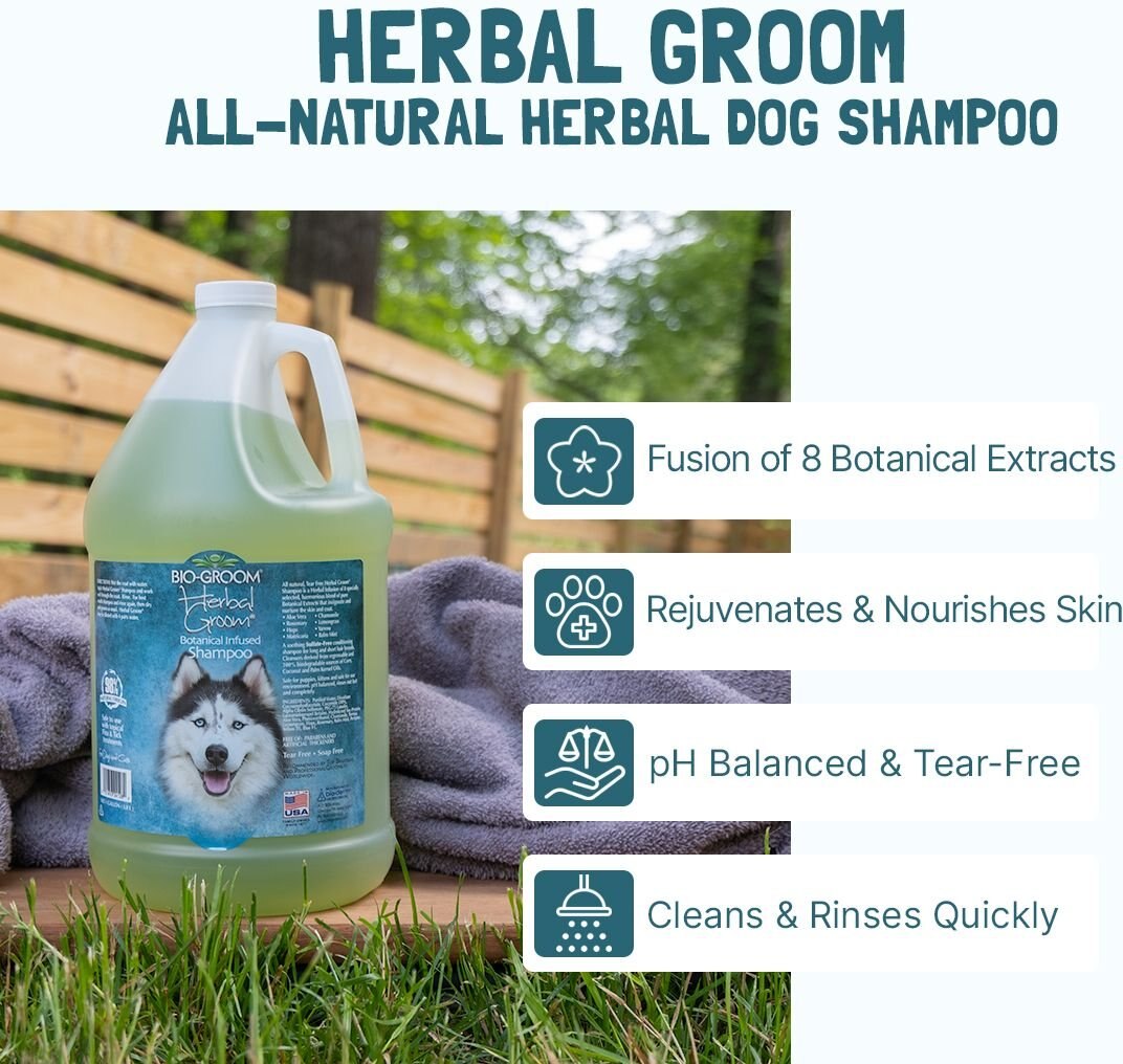 Bio-Groom Herbal Groom Conditioning Dog Shampoo