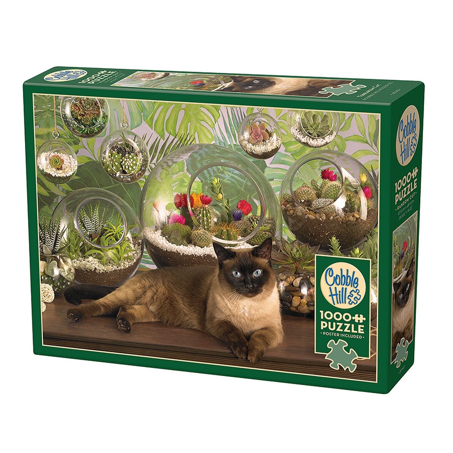 Terrarium Cat