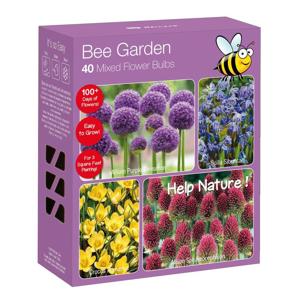 national PLANT NETWORK Bee Garden Nature Friendly Collection Multi-Colored Assorted Bulbs (40-Pack) HD7538