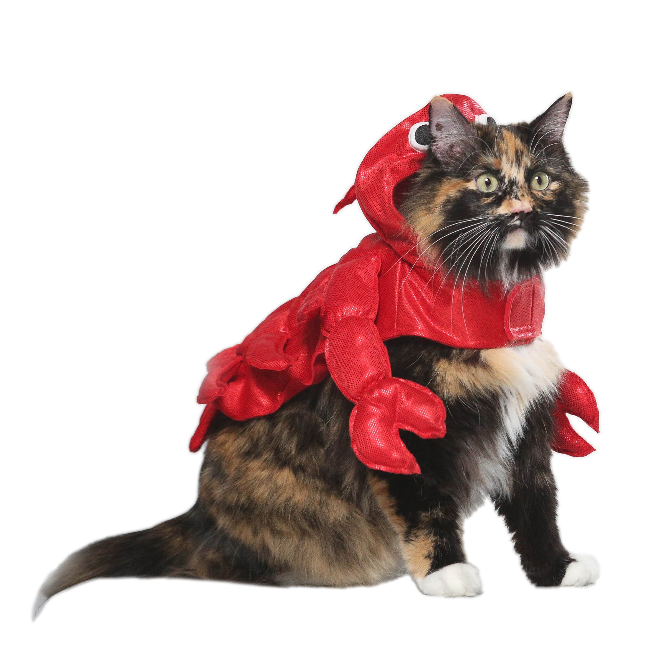 Vibrant Life Halloween Dog Costume and Cat Costume: Lobster， Size Small