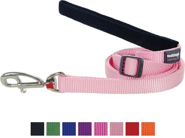 Red Dingo Classic Nylon Dog Leash