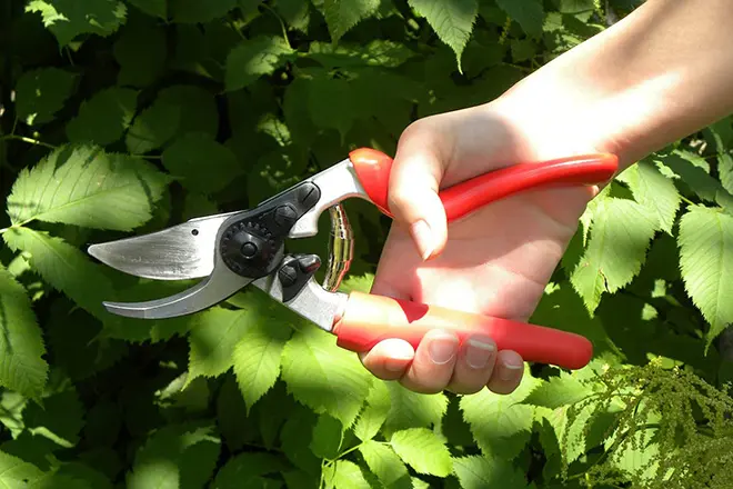 Hot Sale Shrub Plant Scissors Rose Cutter Razor Sharp Hand Secateurs Ergonomic Gardening Tool for Effortless Cuts