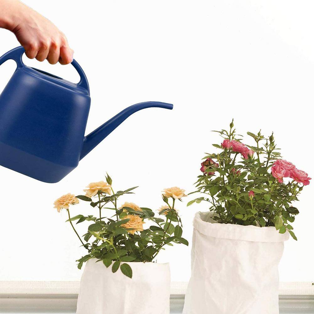 Cubilan 1 Gal. Blue Plastic Watering Can B087RJ6MFT