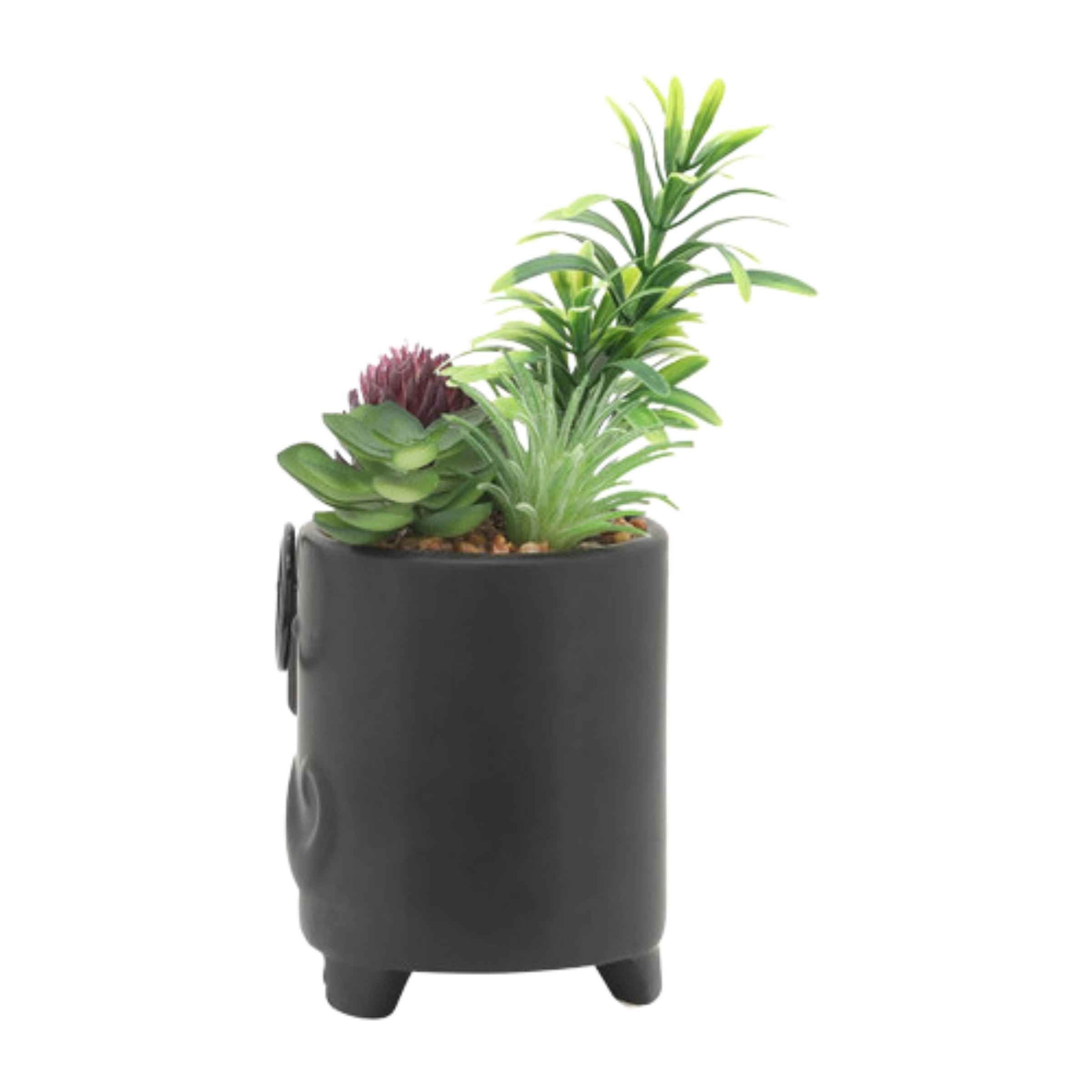 Face Ceramic Planter With Artificial Plants 8.89 Cm - Black 16972-02