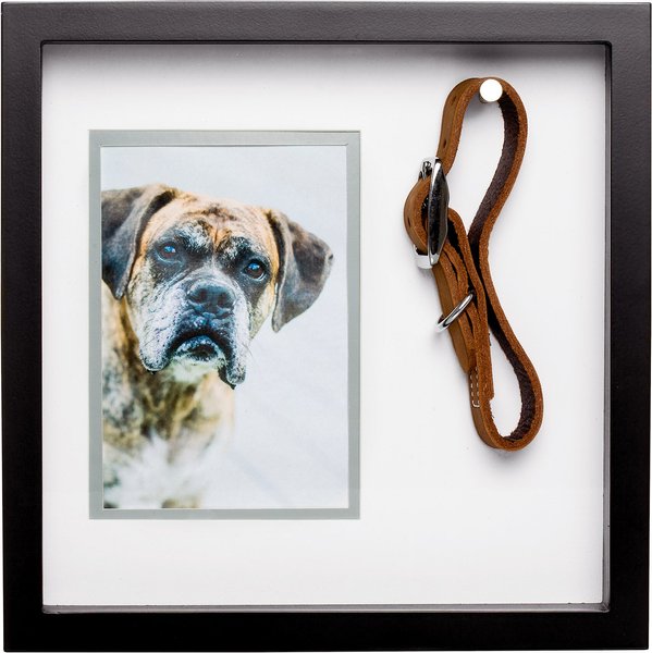 Pearhead Pet Collar Frame