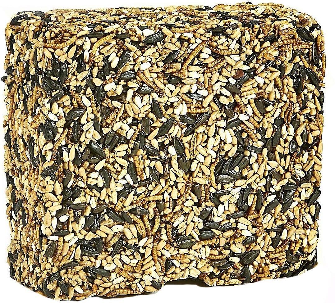 Kaytee Seed and Mealworm Wild Bird Treat Cake