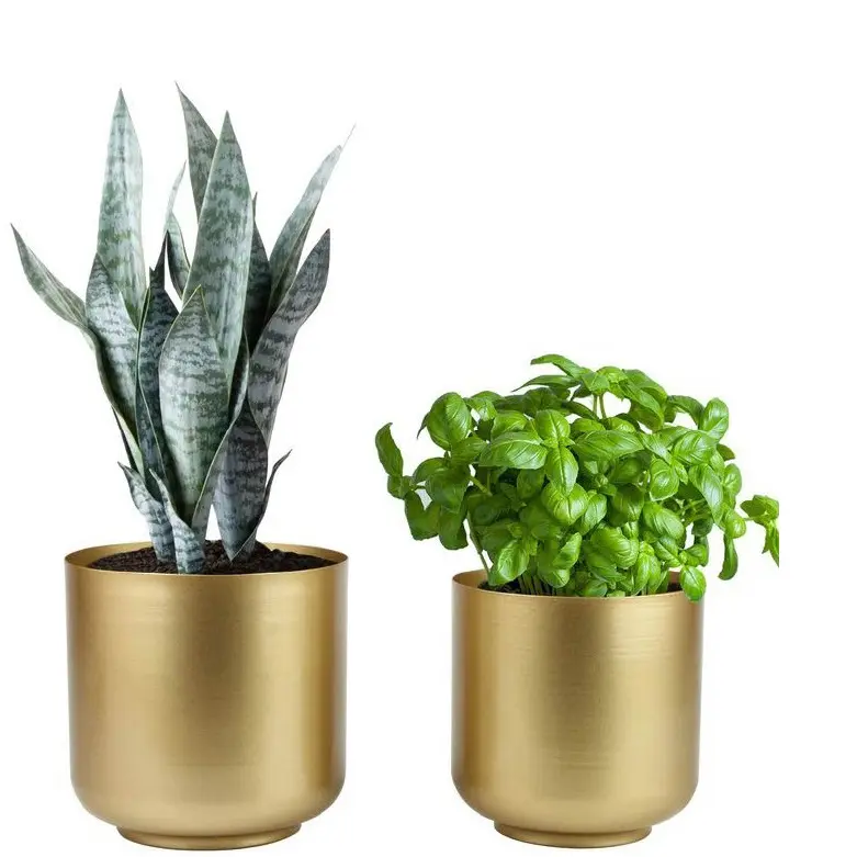 Affordable Price Set of Two Planter Home Indoor Outdoor Garden Usage Customized Size Metal Planter Made by India