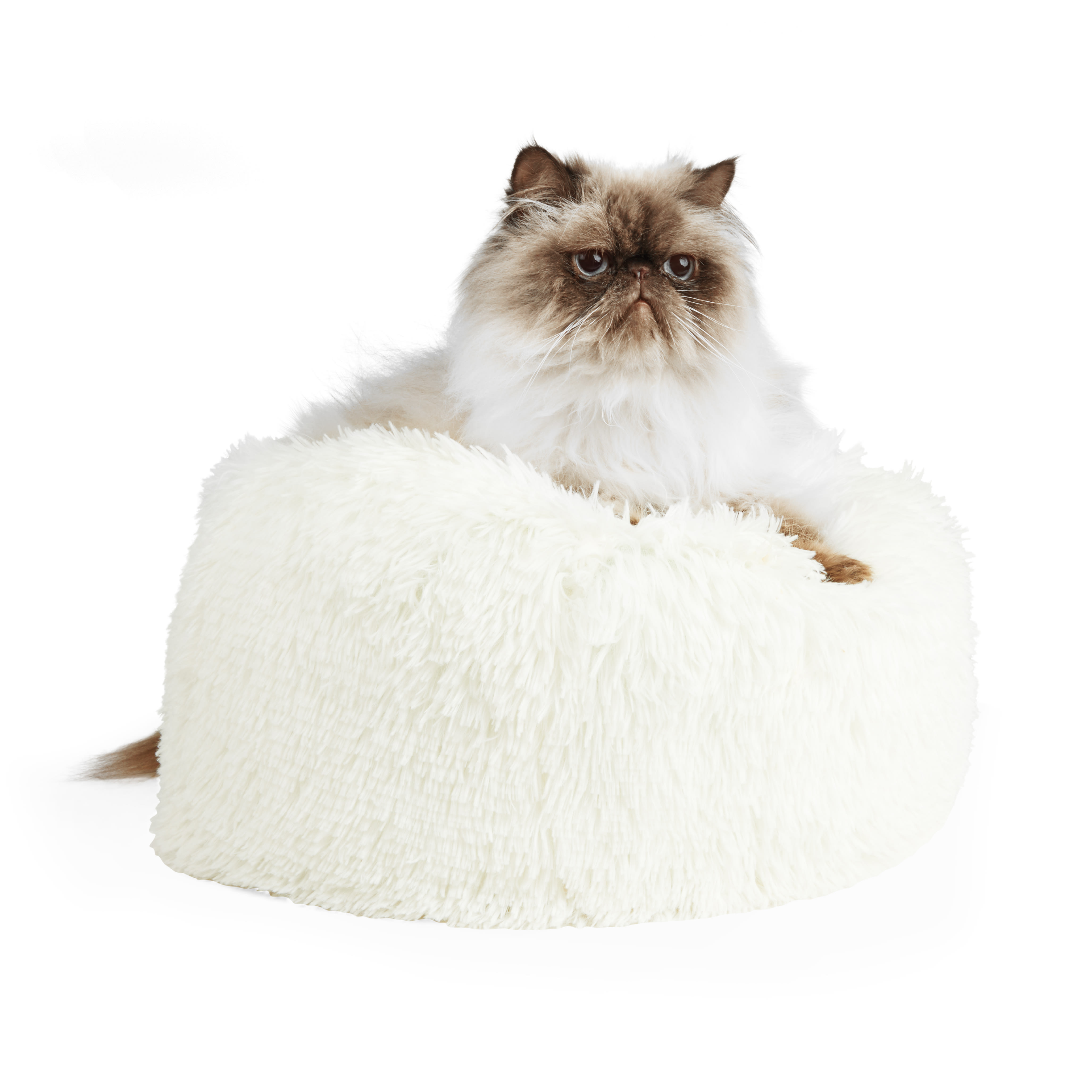 EveryYay Snuggle Ball Orthopedic Cuddler Cat Bed， 18