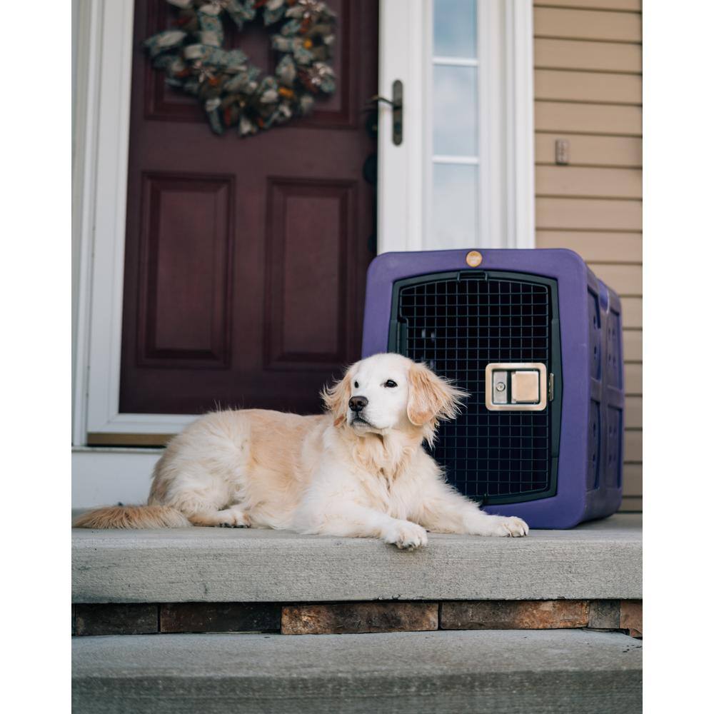 DAKOTA 283 Dakota Framed Door Medium Purple Kennel D2-G3MED-SGN-PUR