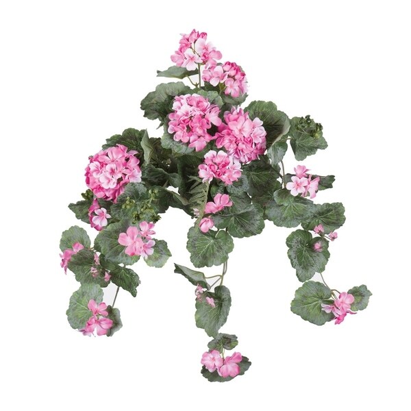 Vickerman 22 Light Pink Geranium Floral Bush