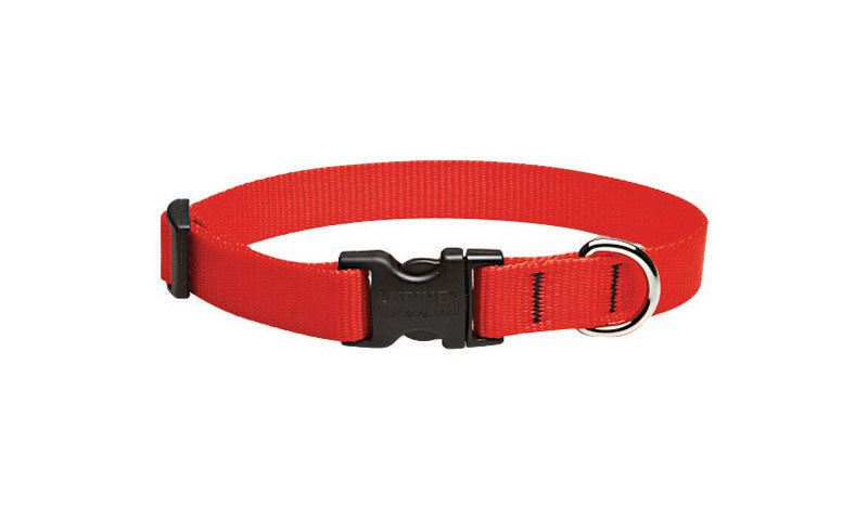 DOG COLLAR 9-14