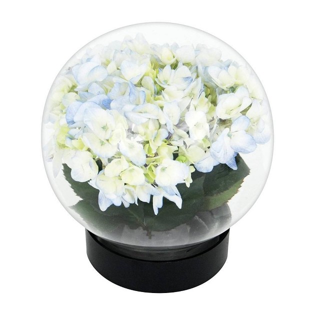 Glass Globe Vase Clear Achla Designs