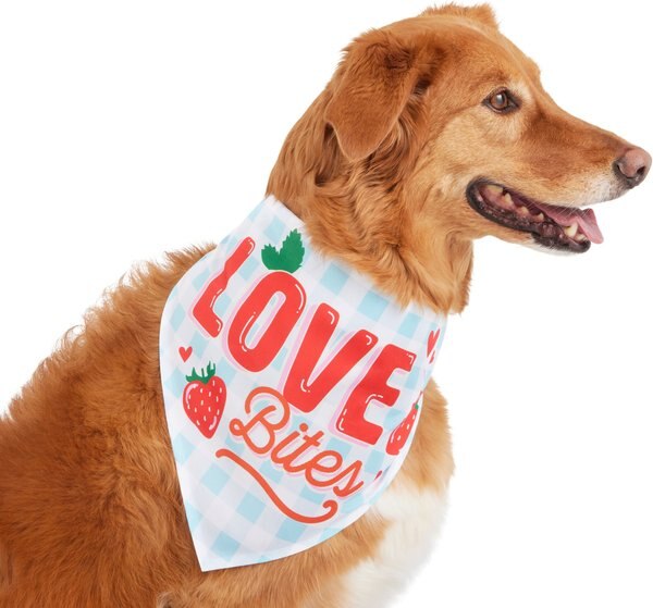 Frisco Love Bites Dog and Cat Bandana