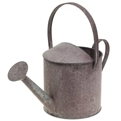 Customized Gardening Flowers Long Spout Water Kettle Galvanized Power Coated Metal Watering Can Garden