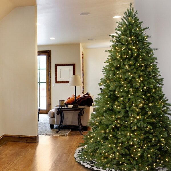 National Tree Company 6.5 ft. Jersey Fraser Fir Tree with Clear Lights