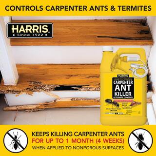 Harris 128 oz. Carpenter Ant Killer and Termite Control Treatment Spray (2-Pack) 2HCAT-128