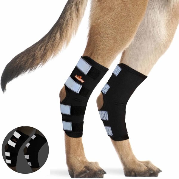 NeoAlly Rear Leg Dog Brace