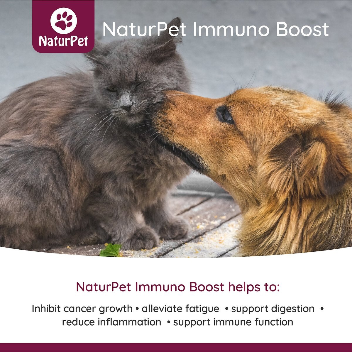 NaturPet Immuno Boost Pet Supplement