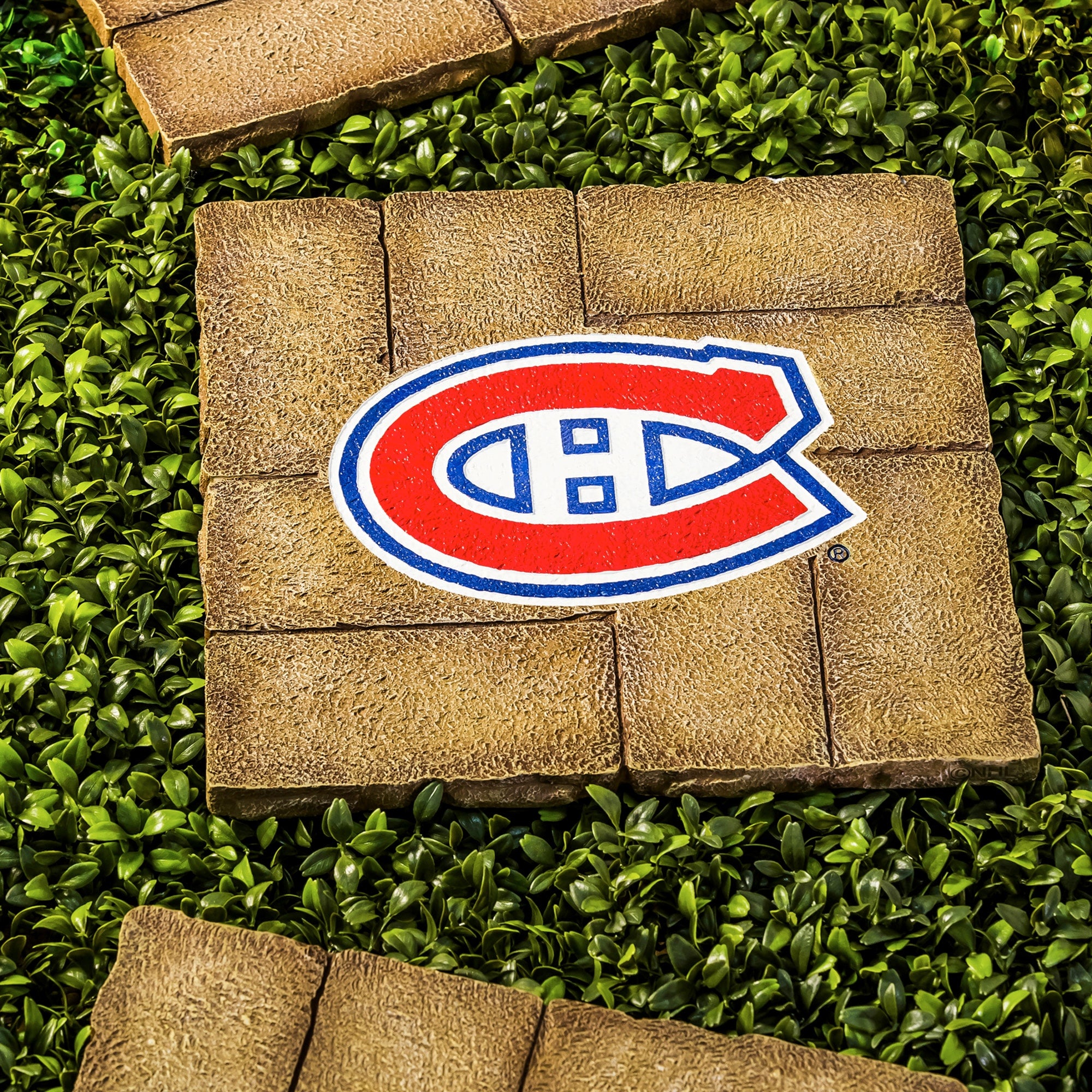 Montreal Canadiens Team Stepping Stone