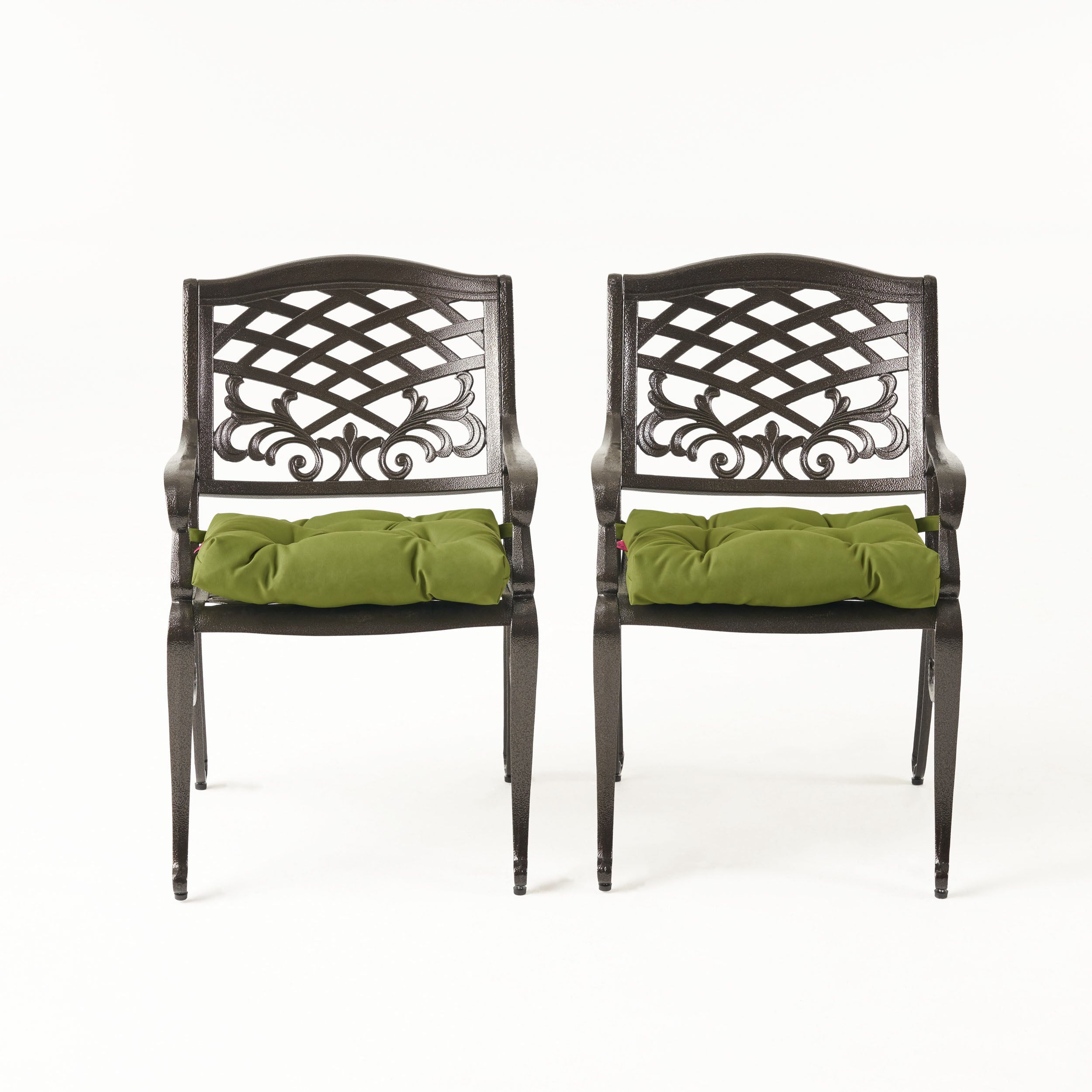 Juel Outdoor Dining Chair with Cushion (Set of 2)