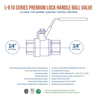 The Plumber's Choice 34 in. FIP x 34 in. FIP Premium Brass Full Port Ball Valve with Lock Handle (10-Pack) 832T256-10-NL-L