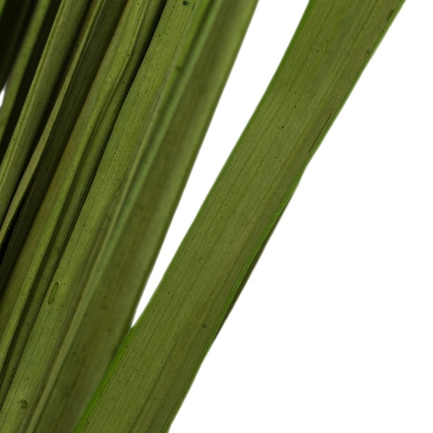 Basil Wild Flax Grass. Comes In 12oz (3 -4 Oz Bundles)， Dried