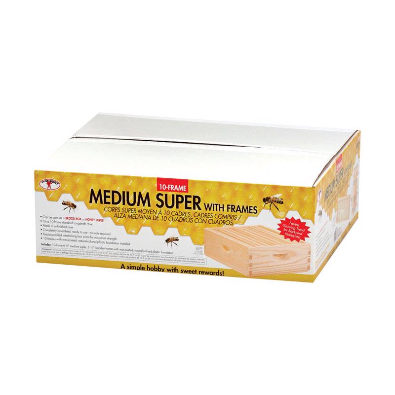 MEDIUM BEE SUPER