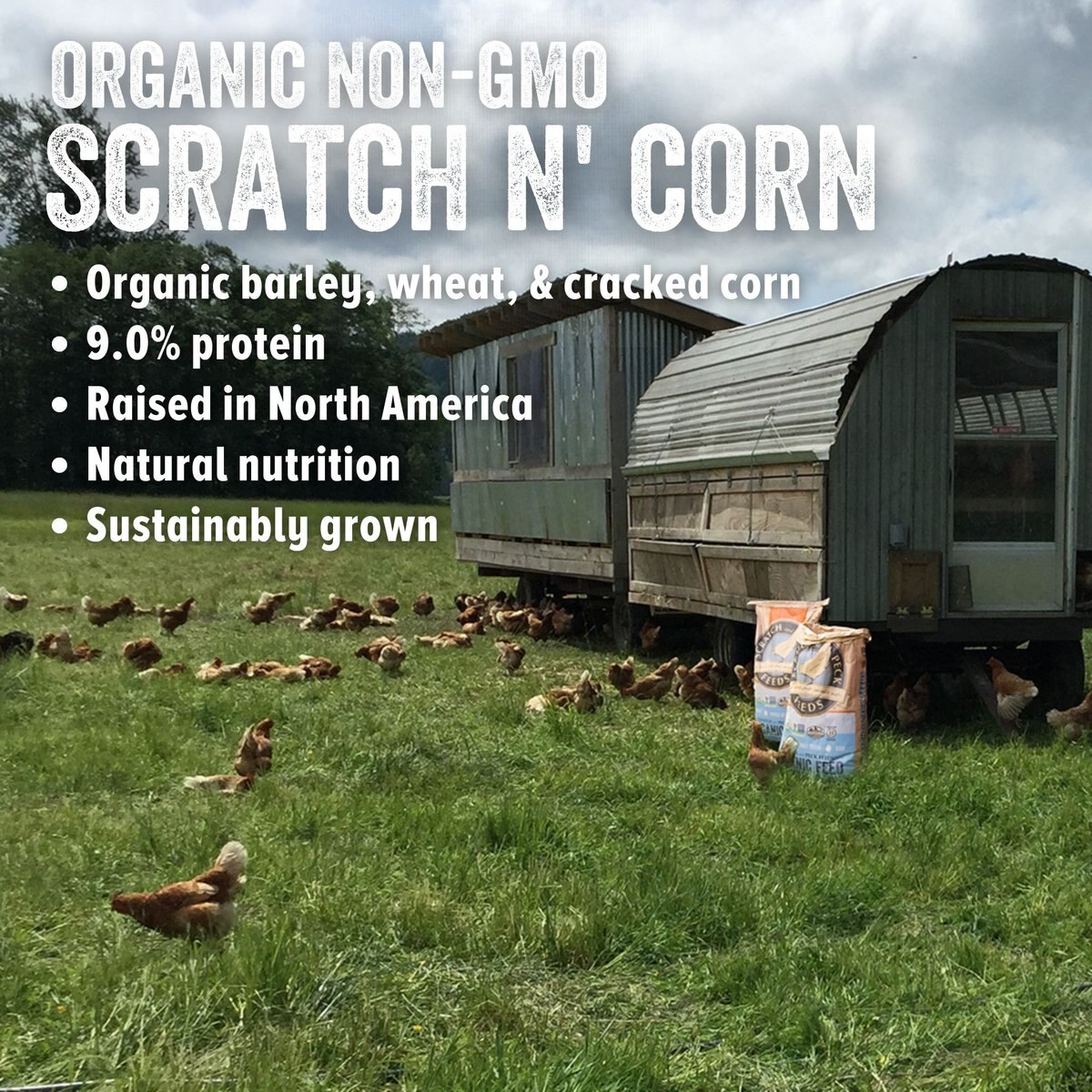 Scratch and Peck Feeds Cluckin' Good Organic Scratch n' Corn Poultry Treats