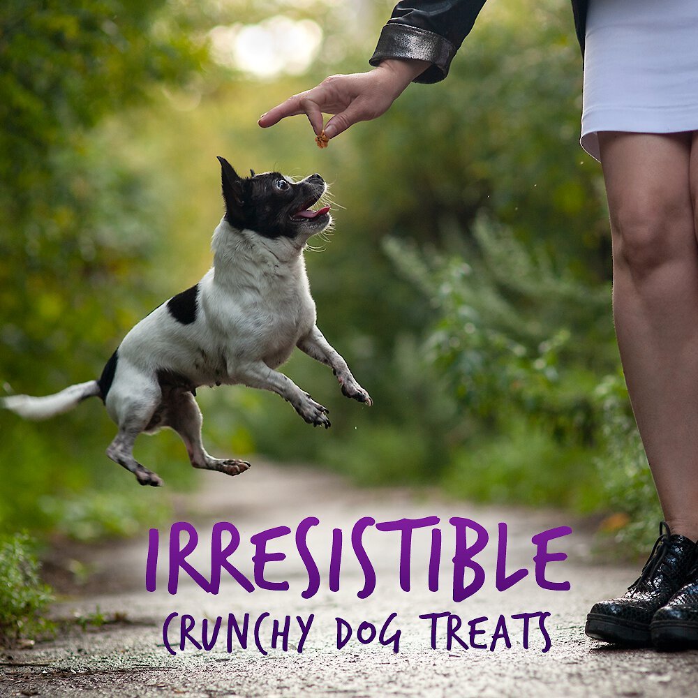 Fruitables Pumpkin and Blueberry Flavor Crunchy Dog Treats