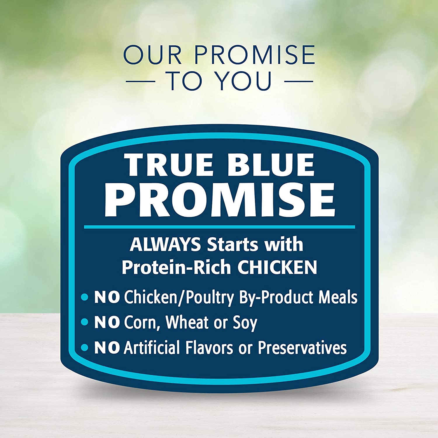 Blue Buffalo Freedom Grain Free Recipe for Dog， dog food， Chicken Recipe， 11 lb