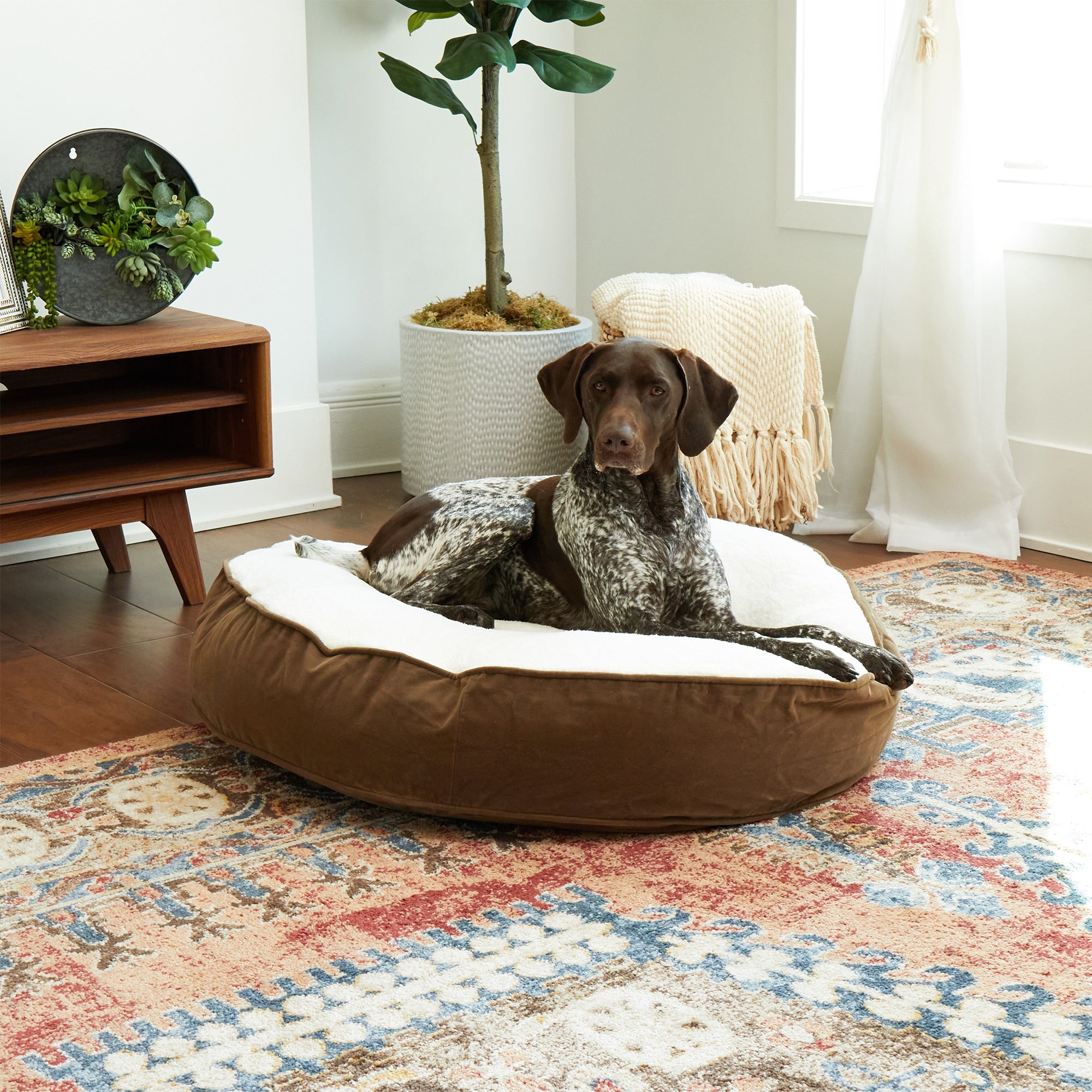 Happy Hounds Scout Sherpa Round Pillow Dog Bed, Latte, Medium (36 x 36 in.)