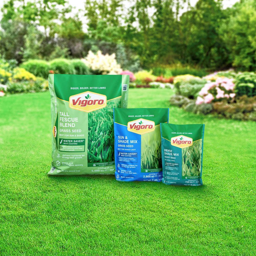 Vigoro 20 lbs. Tall Fescue Grass Seed Blend with Water Saver Seed Coating 25686