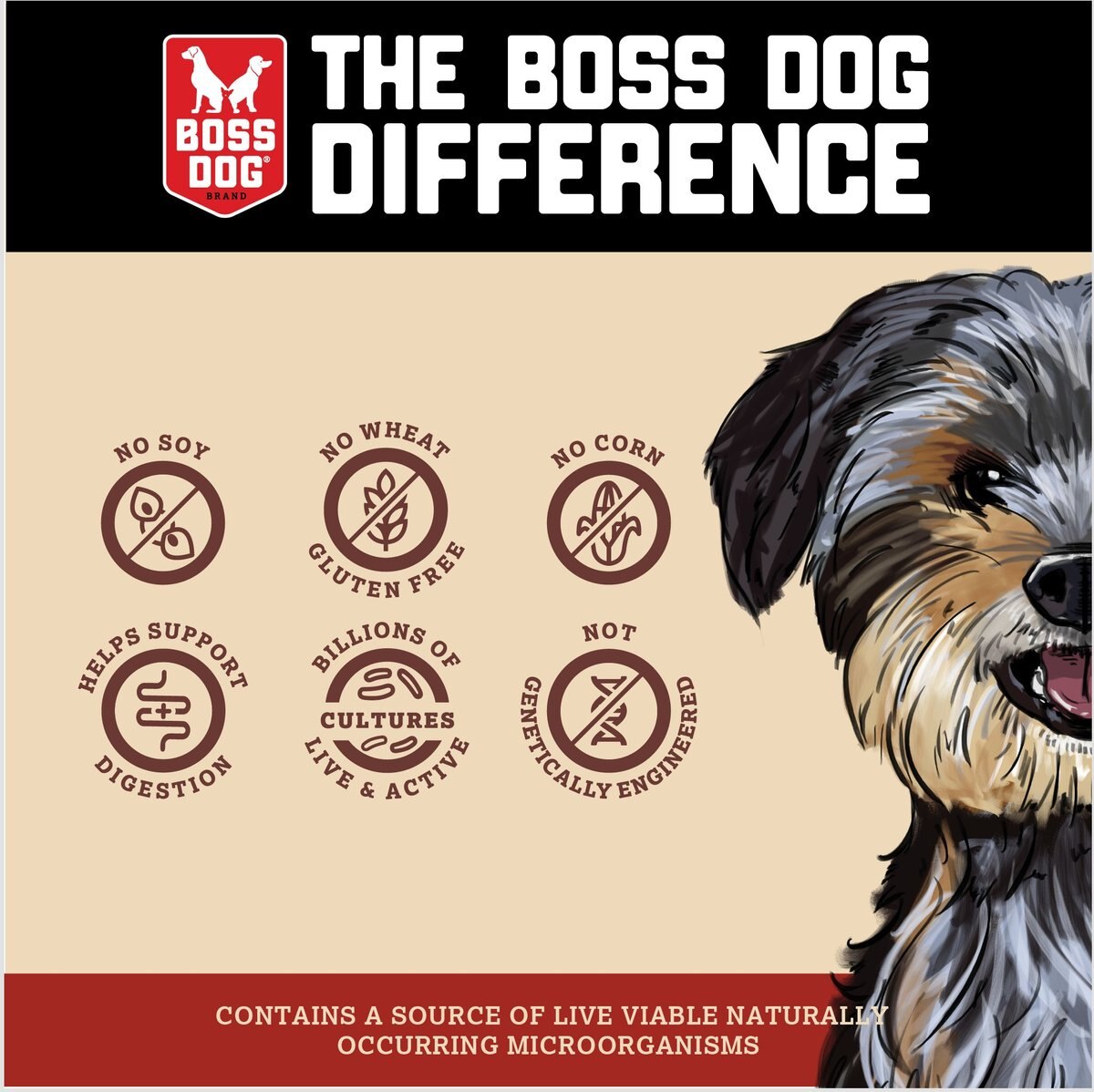 Boss Dog Proballs Beef Freeze Dried Dog Treats