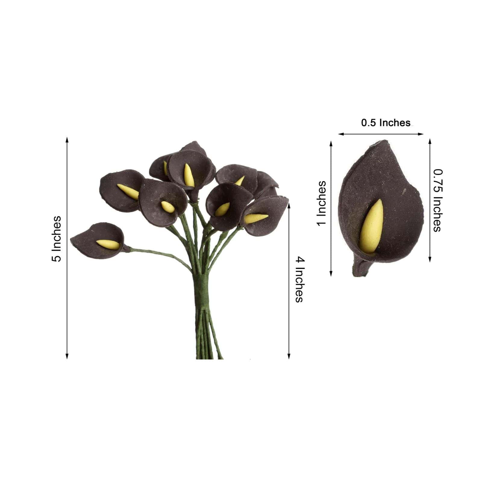 144 Pack Chocolate Peacock Spread Foam Craft Calla Lilies 5