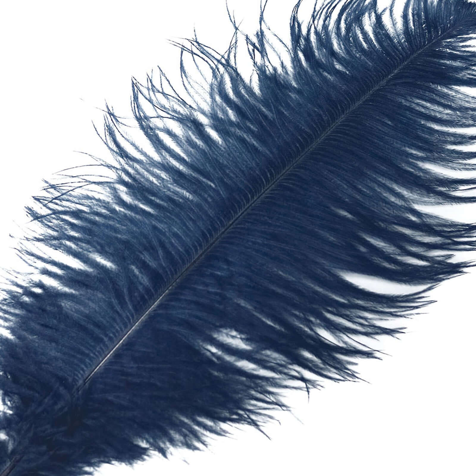 12 Pack Navy Blue Natural Plume Real Ostrich Feathers, DIY Centerpiece Fillers 13