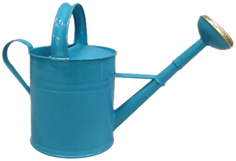 Farmhouse Charm Blue Watering Can