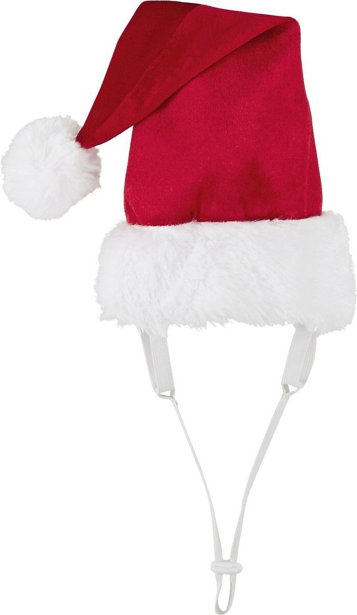 Frisco Deluxe Holiday Dog and Cat Santa Hat， 1 count