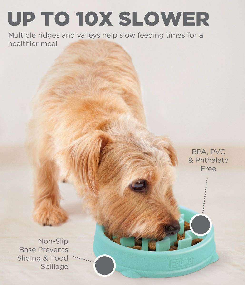 Outward Hound Non-Skid Plastic Slow Feeder Dog Bowl