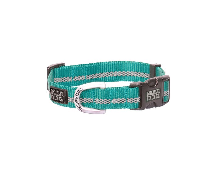 Terrain D.O.G. Reflective Snap-N-Go Adjustable Dog Collar， Small， Mint - 07-0855-R8