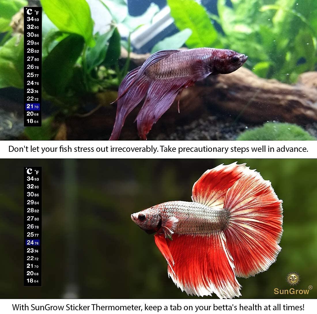 SunGrow Betta Fish Thermometer Sticker， Temperature Strip for Aquarium and Reptiles Tank