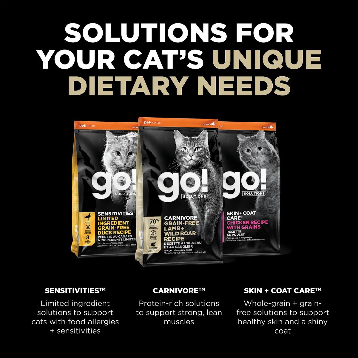 Go! Solutions Carnivore Grain-Free Lamb + Wild Boar Recipe Dry Cat Food