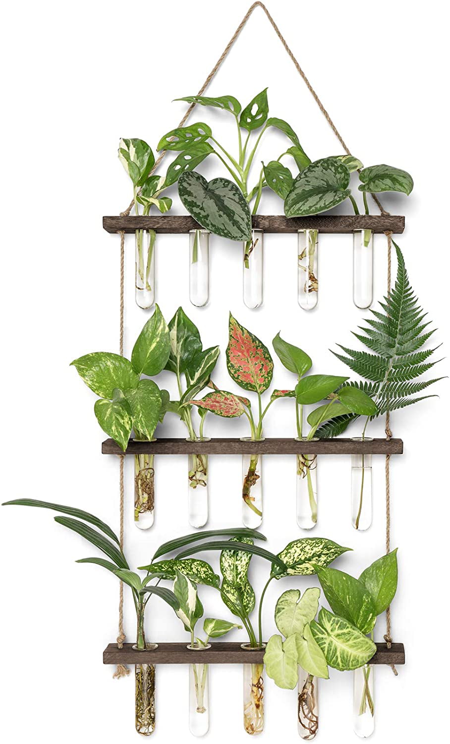 Gowinsee Plant Propagation Tubes, 3 Tiered Wall Hanging Plant Terrarium with Wooden Stand Mini Test Tube Flower Vase Glass Planter for Hydroponic Plant Cutting  Garden Office Decor Plant Lover Gift