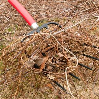 Razor-Back 5-Oval Tine Forged Manure Fork