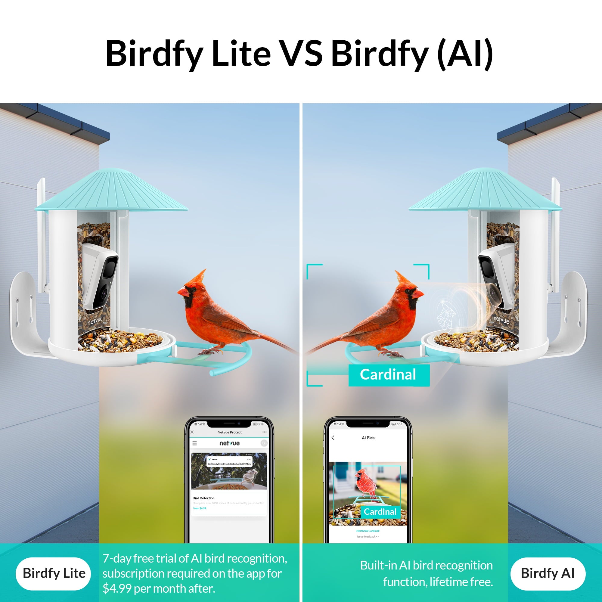 Bird Feeder Camera Outdoor Netvue Birdfy Smart Bird Feeder for Bird Watching， Capture Images/videos with APP Notification AI Recognition， Bird Gift for Mother's Day (Birdfy AI)