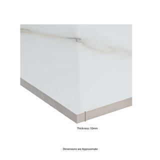 MSI Aria Bianco Polished Porcelain Floor and Wall Tile NARIBIA2424P